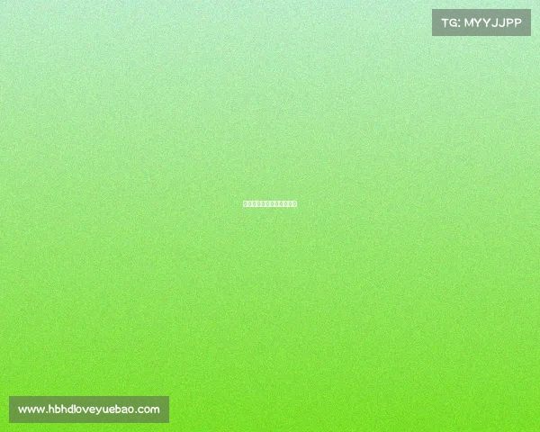 电子竞技运动员王金敏简历